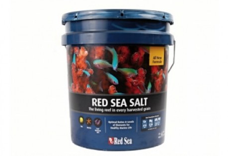 Red Sea Salt, bucket (22Kg)