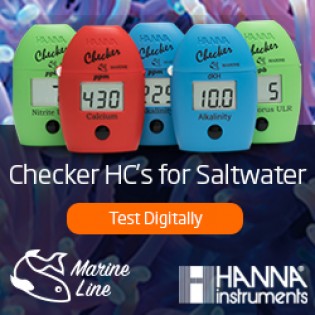 Hanna Checker®HC Phosphate colorimeter, LR (PO4)