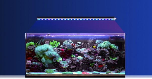 Reef Factory - Reef Flare BAR 60