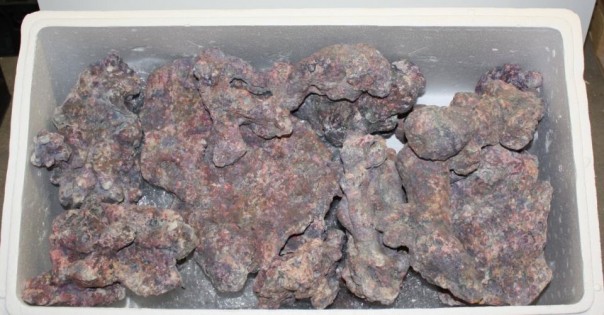 Dutch Reef Rock Base - Mix Box 25kg