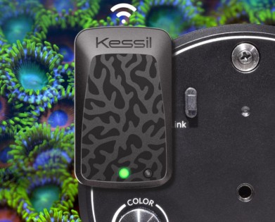 Kessil Wifi Dongle for A360X series