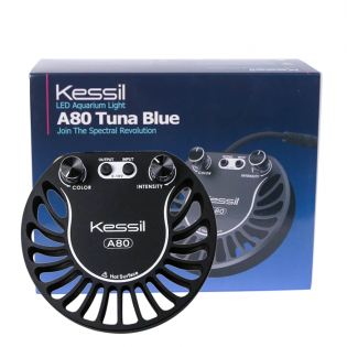 Kessil A80 Tuna Blue, LED lighting (15W)