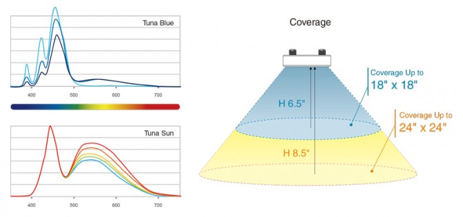 Kessil A80 Tuna Blue, LED lighting (15W)