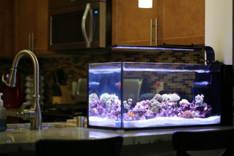 Current aquarium lighting best sale